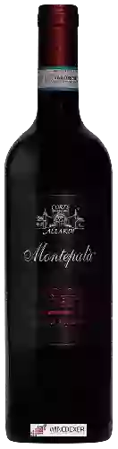 Domaine Corte Aleardi - Montepalà Valpolicella Ripasso Classico Superiore