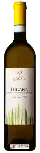 Domaine Corte Sermana - Lugana Cromalgo