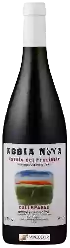 Domaine Costa Graia - Abbia Nòva Rosato del Frusinate Collepasso