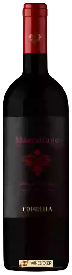 Domaine Cotarella - Marciliano