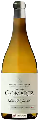 Domaine Coto de Gomariz (María Álvarez Serrano) - Finca O Figueiral Colleita Seleccionada