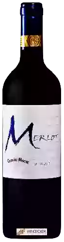 Domaine Cousiño-Macul - Merlot