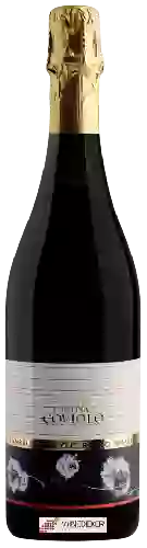 Domaine Cantina Coviolo - Lambrusco Rosso Amabile