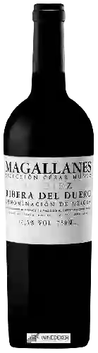 Domaine César Muñoz - Magallanes