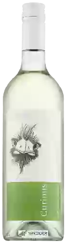 Domaine Curious - Chardonnay - Sauvignon Blanc