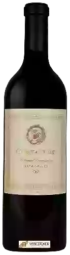 Domaine Curvature