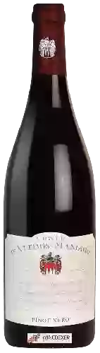 Domaine Conte d'Attimis Maniago - Pinot Nero