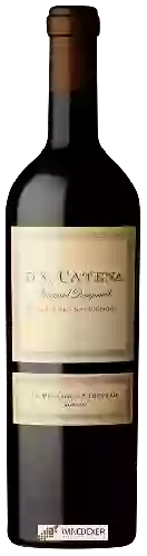 Domaine D.V. Catena - La Piramide Vineyard Cabernet Sauvignon