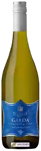 Domaine Danese - Garda Frizzante