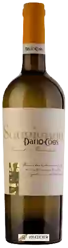 Domaine Dario Coos - Sauvignon