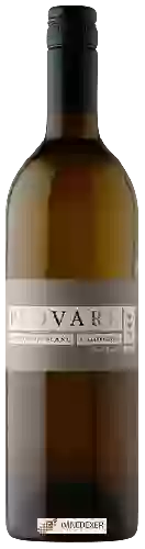 Domaine David Marchesi - Provare Sauvignon Blanc