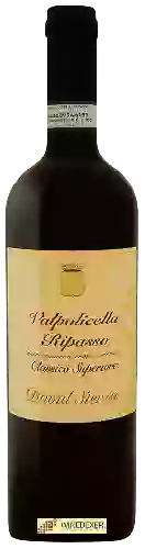 Domaine David Sterza - Valpolicella Ripasso Classico Superiore