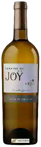 Domaine de Joy - Envie Côtes de Gascogne