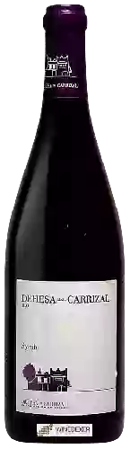 Domaine Dehesa del Carrizal - Syrah