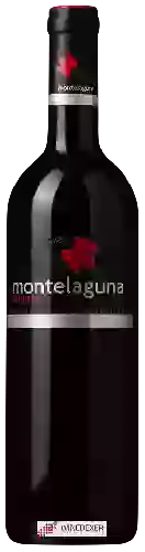 Domaine Dehesa Valdelaguna - Montelaguna Crianza