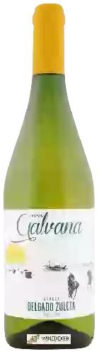 Domaine Delgado Zuleta - Viña Galvana