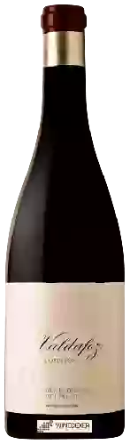 Domaine Descendientes de J. Palacios - Valdafoz Bierzo (Corullón)