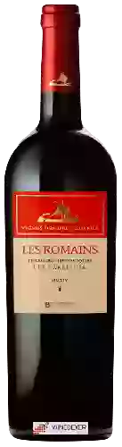 Domaine Vignes des Deux Soleils - Les Romains Rouge