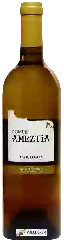 Domaine Ameztia - Irouleguy Blanc