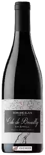 Domaine Blain Soeur & Frere - Les Jumeaux Côte de Brouilly