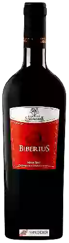 Domaine Cantine Salvatore - Biberius Molise Rosso