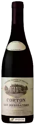 Domaine Chandon de Briailles - Corton Grand Cru 'Les Bressandes'