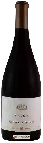 Domaine de Prapin - Antica Coteaux du Lyonnais Rouge