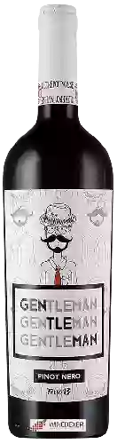 Domaine Ferro13 - Gentleman Pinot Nero