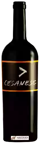 Domaine l'Olivella - Cesanese