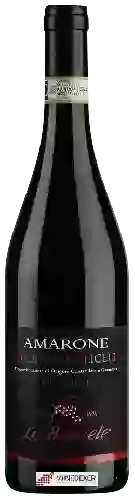 Domaine Le Bignele - Amarone della Valpolicella Classico