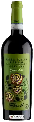 Domaine Piccoli - Caparbio Valpolicella Ripasso Superiore