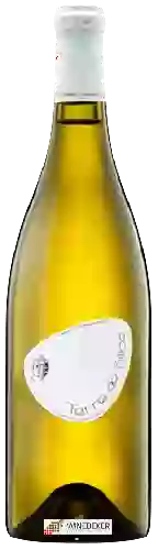 Domaine Reynald Héaulé - Terre de Silice