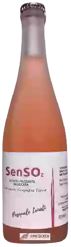 Domaine Taverna - SenSO2 Rosato Frizzante