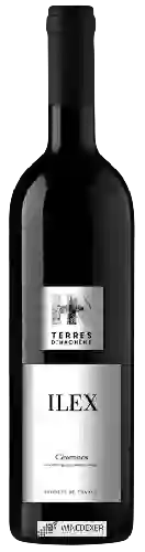 Domaine Terres d’Hachène - Ilex