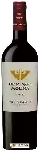 Domaine Domingo Molina - Malbec