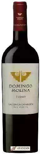 Domaine Domingo Molina - Tannat