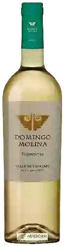 Domaine Domingo Molina - Torrontés