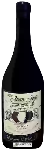 Domaine Don Juan José - Ánfora Carignan