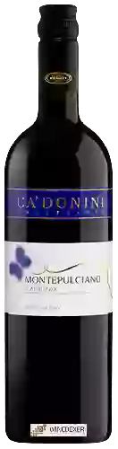 Domaine Ca' Donini - Montepulciano d'Abruzzo