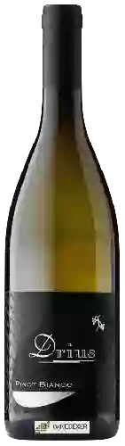 Domaine Drius - Pinot Bianco