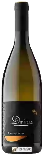 Domaine Drius - Sauvignon