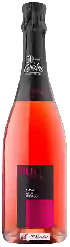 Domaine Duc de Foix - Cava Brut Rosado