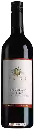 Domaine Cantine due Palme - Elios Negroamaro