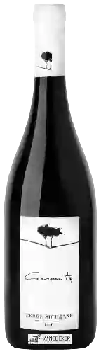 Domaine Due Pini - Ciaramita