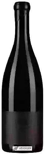 Domaine Ebner-Ebenauer - Grüner Veltliner 'Black Edition'