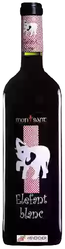 Domaine Ricard M de Simón - Elefant Blanc