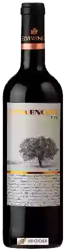 Domaine Elvi - Viña Encina Tinto