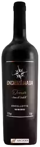 Domaine Encruzilhada - Terroir Ancellotta