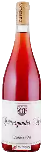 Domaine Enderle & Moll - Spätburgunder Rosé
