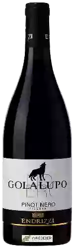 Domaine Endrizzi - Golalupo Pinot Nero Riserva